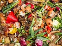 Organic Compost