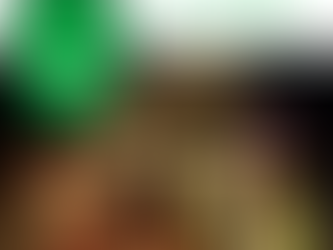 2024 Northwood Holiday Decorating Contest