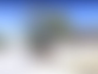 Neighborhood Meeting Recap