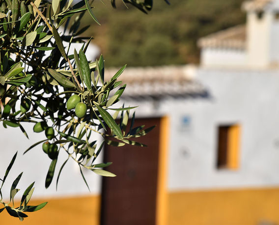 Entrée du gîte.jpeg