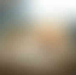 Dog Laying on Striped Pet Blanket