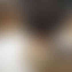 Dog Drinking from Dog Bowl