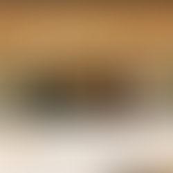 Missão Sal da Terra participa da III Conferência Nacional de Planificação da Atenção à Saúde, em Brasília