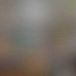 Missão Sal da Terra promove troca de experiências e valorização profissional na III Mostra de Boas Práticas