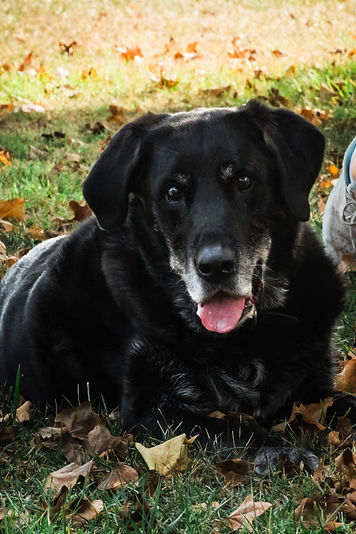 Tawyna & the Kids 2025 web 80ppi20251001-DSC_0328_edited.jpg