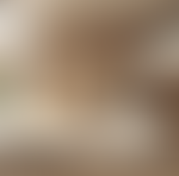 Top 10 Trendsetting Modern Home Design Ideas to Elevate Your Space in 2026