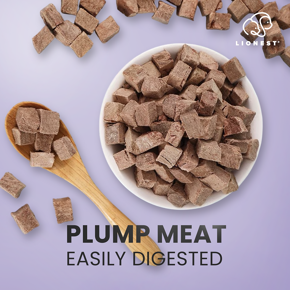 Thumbnail: LIONEST FD Beef 100g