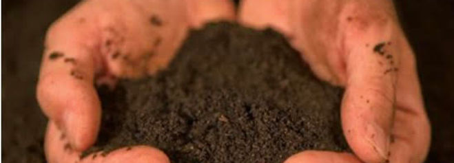 dirt.jpg