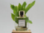 Cavatina with lily of the valley