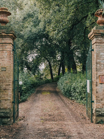 Tree-lined driveway and historic estate gate at Fattoria di Vegi in Chianti
