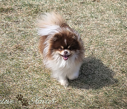 GridArt_20250325_121601678_edited.jpg
