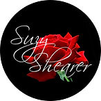 author logo
