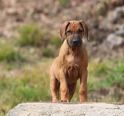 480862188_1192805386183748_1116630034048037989_n (1).jpg