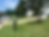 Summer Lawn Care