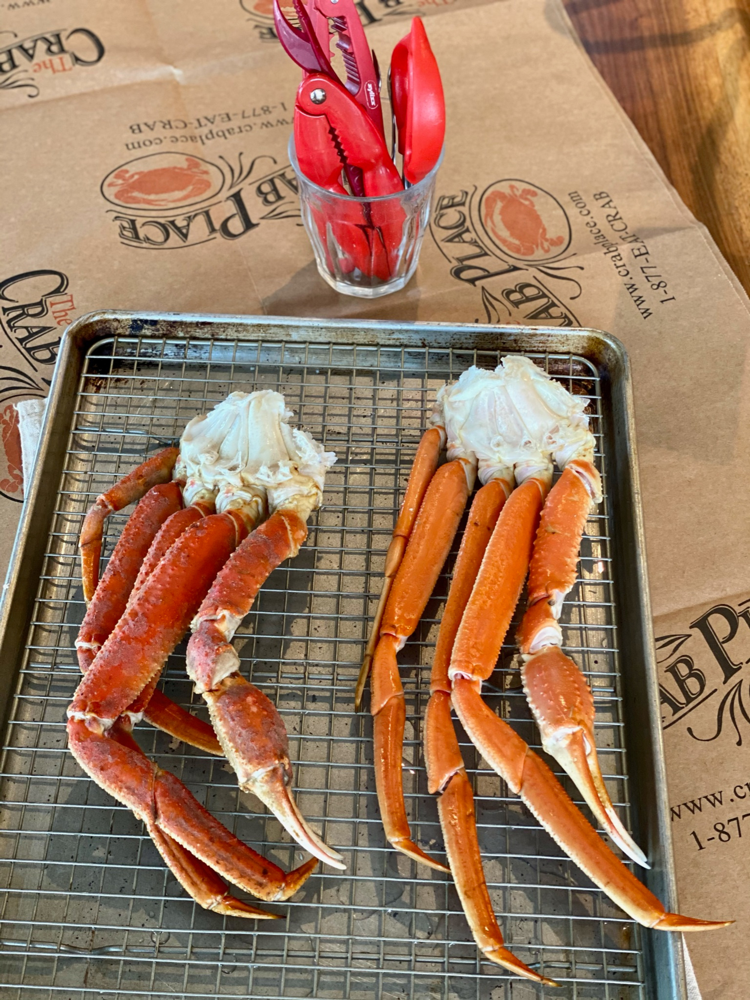 Exploring the Different Snow Crab Species: Bairdi and Opilio