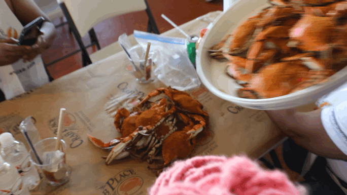 Jumbo Crabs Being Poured on Table at Crab and Cruise _qfWazi.GIF