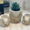 Thumbnail: Geode Tealight Candle Holder & Faux Planter Set