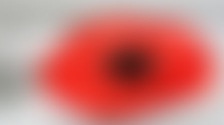 Мастер-класс по бумажным цветам