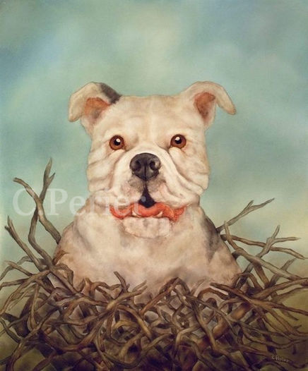 Peinture à l'huile d'un dogue blanc dans un nid d'oiseaux-chien blanc-babines rouges-portrait surréaliste de chien-artiste animalier-apparition-symbolisme