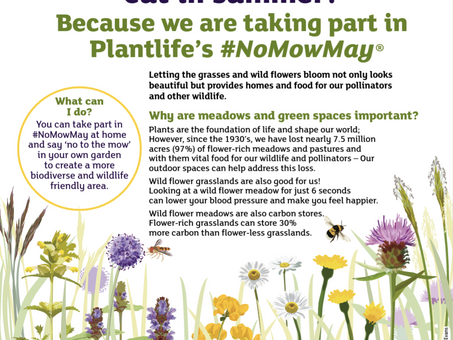 #NoMowMay
