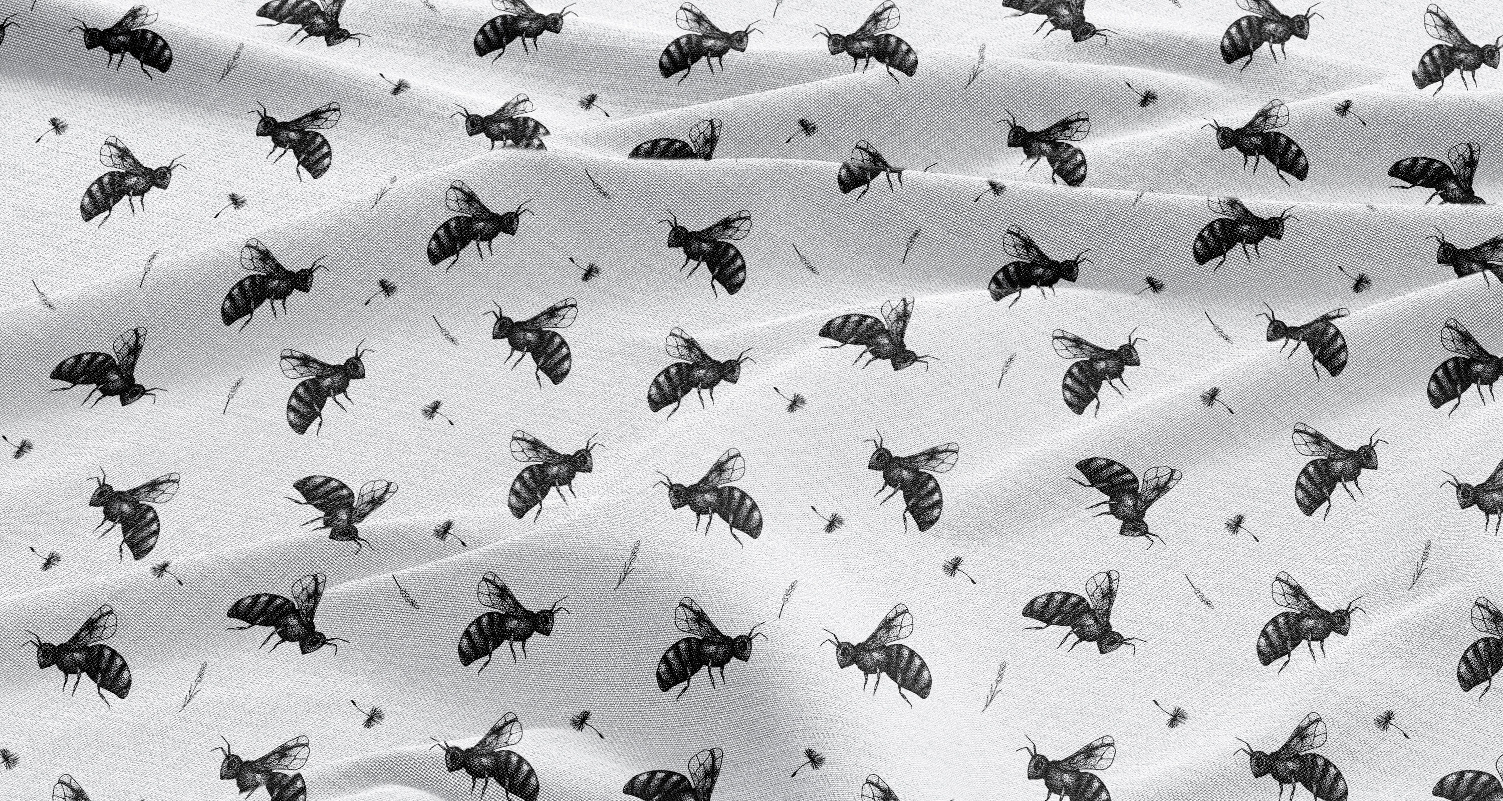 BUSY BUGS | Oh Honey! White