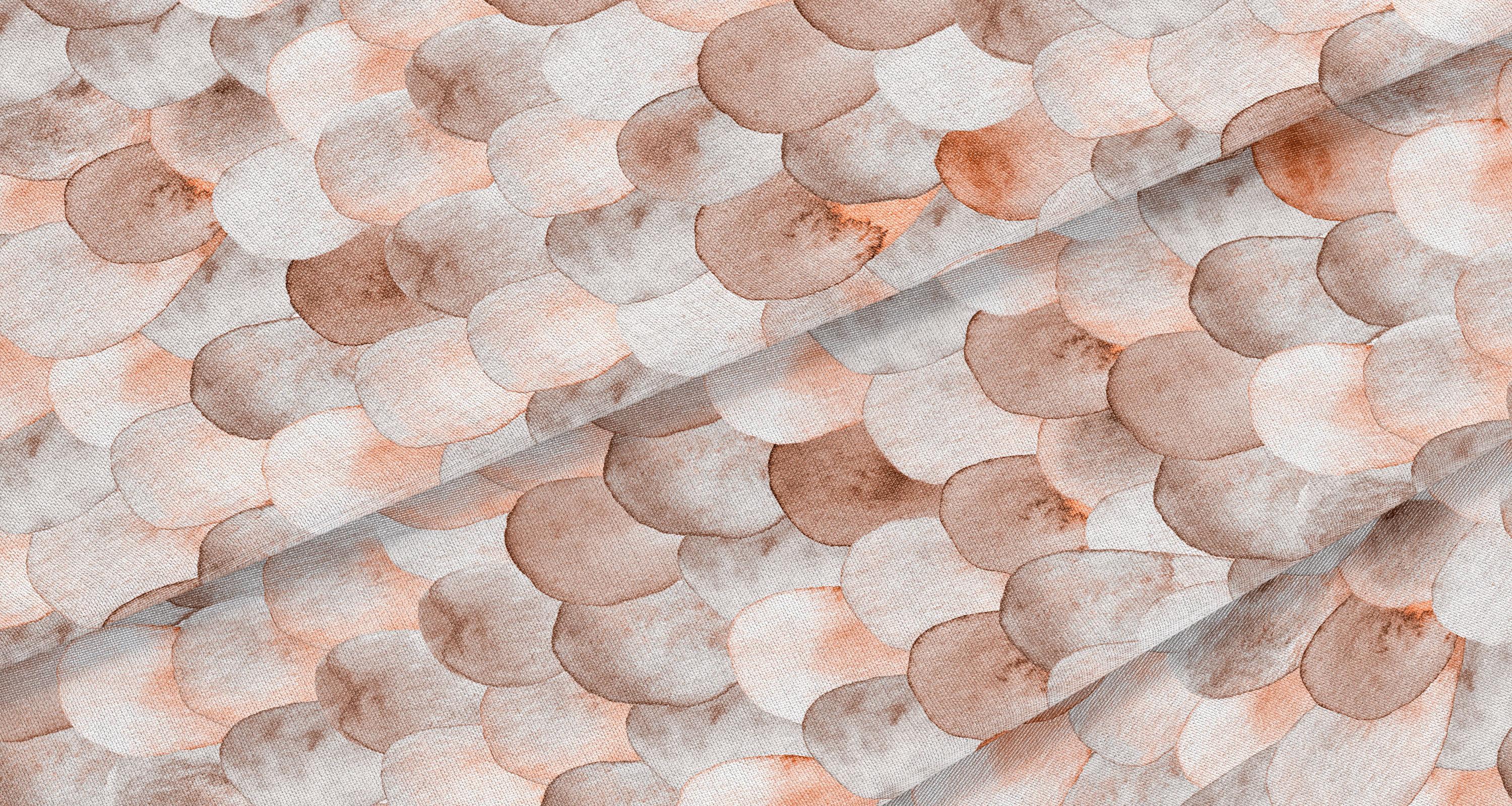 SCALLOP | Ivory and Scales