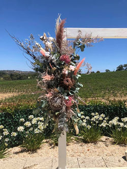 82013065_2680850748617549_22068132396002