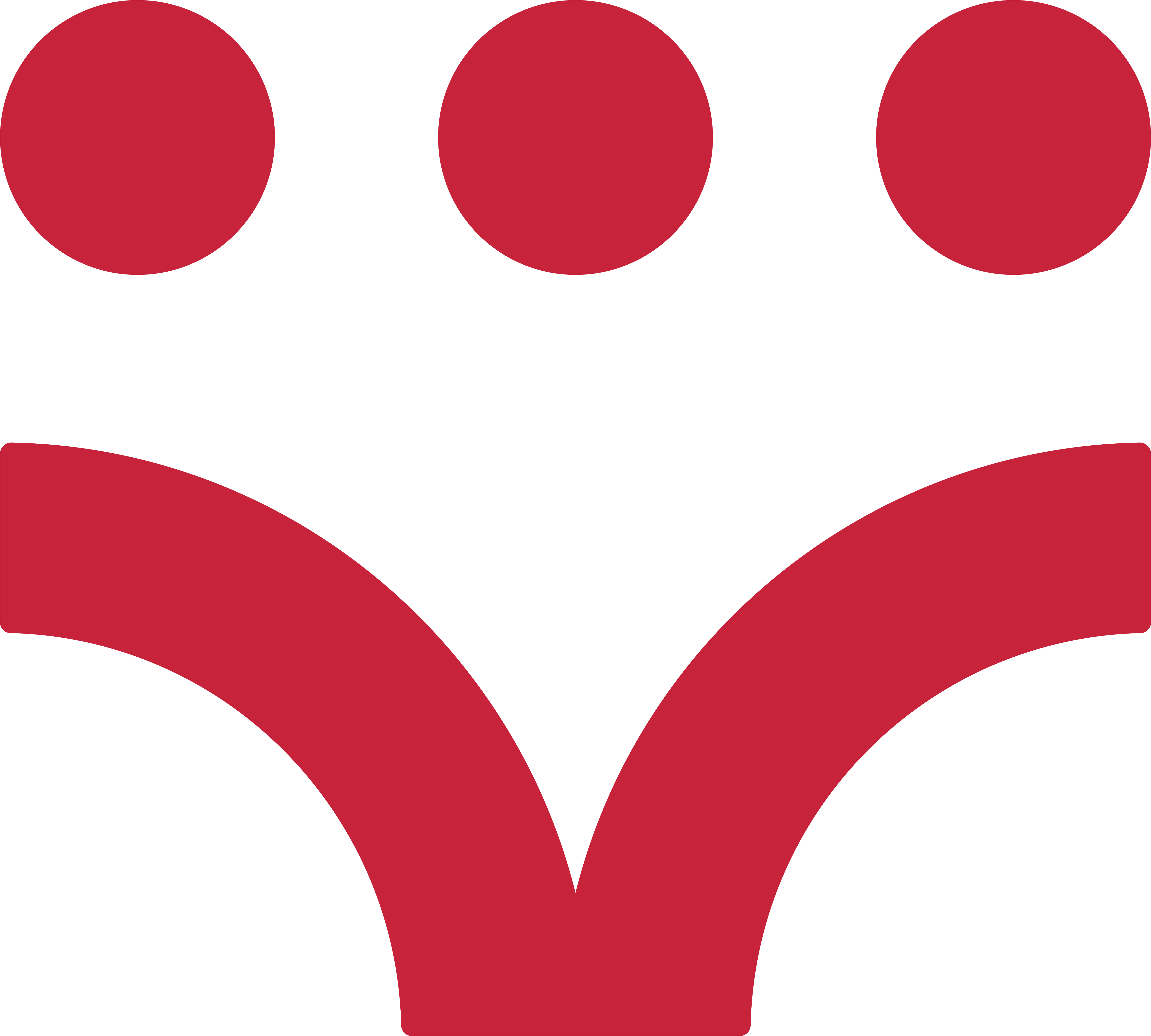 PIRLS - Study Cycle Icon.png