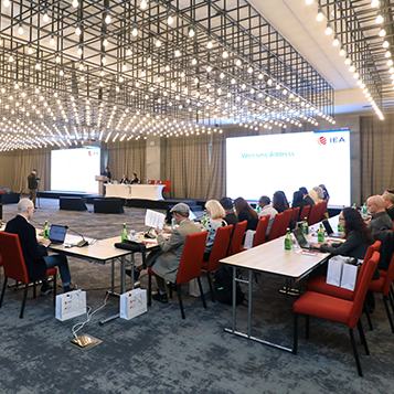 IEA-65th-meeting-Tbilisi1.png