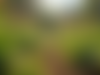 The Importance of Sustainable Living in Today's World