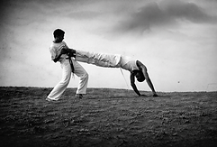 Valtemir_Capoeira.png