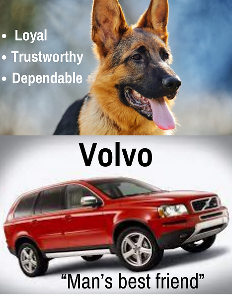 Vollvo Mans best friend - combimed T-Shirt1.png