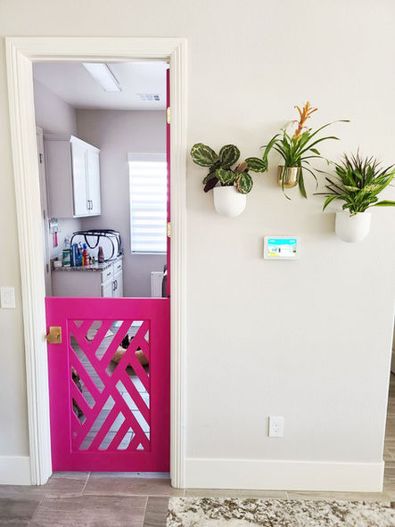 Pink dutch door