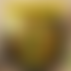 OKRA MASALA et idées de préparations pour qu'ils ne soient pas trop gluants