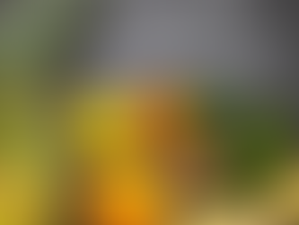 Manger selon ton Dosha… ou selon ton déséquilibre ?