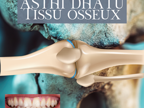 Asthi Dhatu : le tissu osseux en Ayurvéda