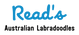 Read's Australian Labradoodles logo_tran