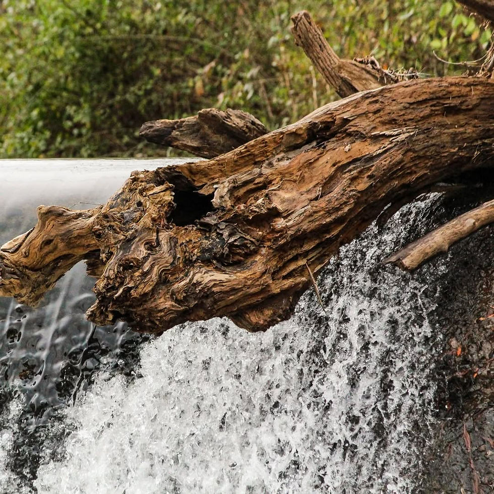 Faith-Based Photography for Sale: A Guide to Purchasing Inspiring Art