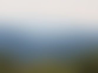 The Moment of Focus: Capturing the Opportunity