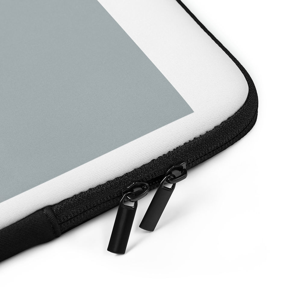 Thumbnail: Laptop Sleeve