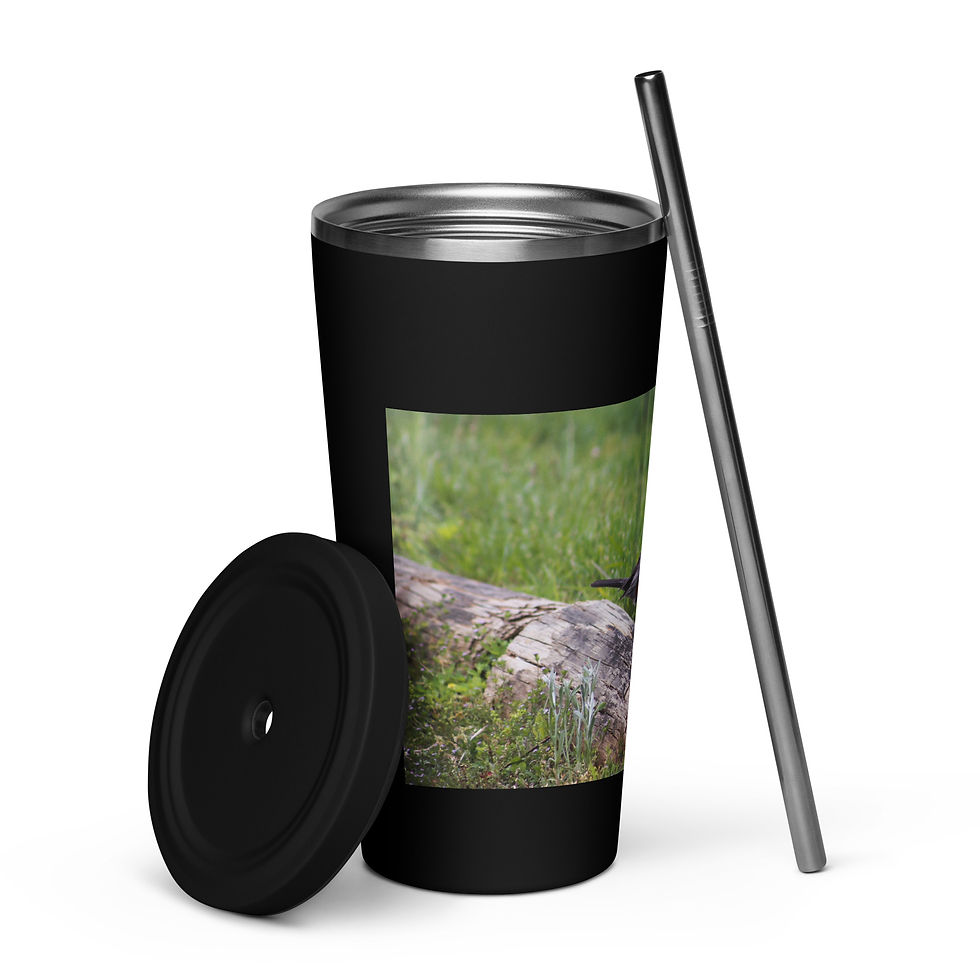 Thumbnail: Insulated tumbler with a straw