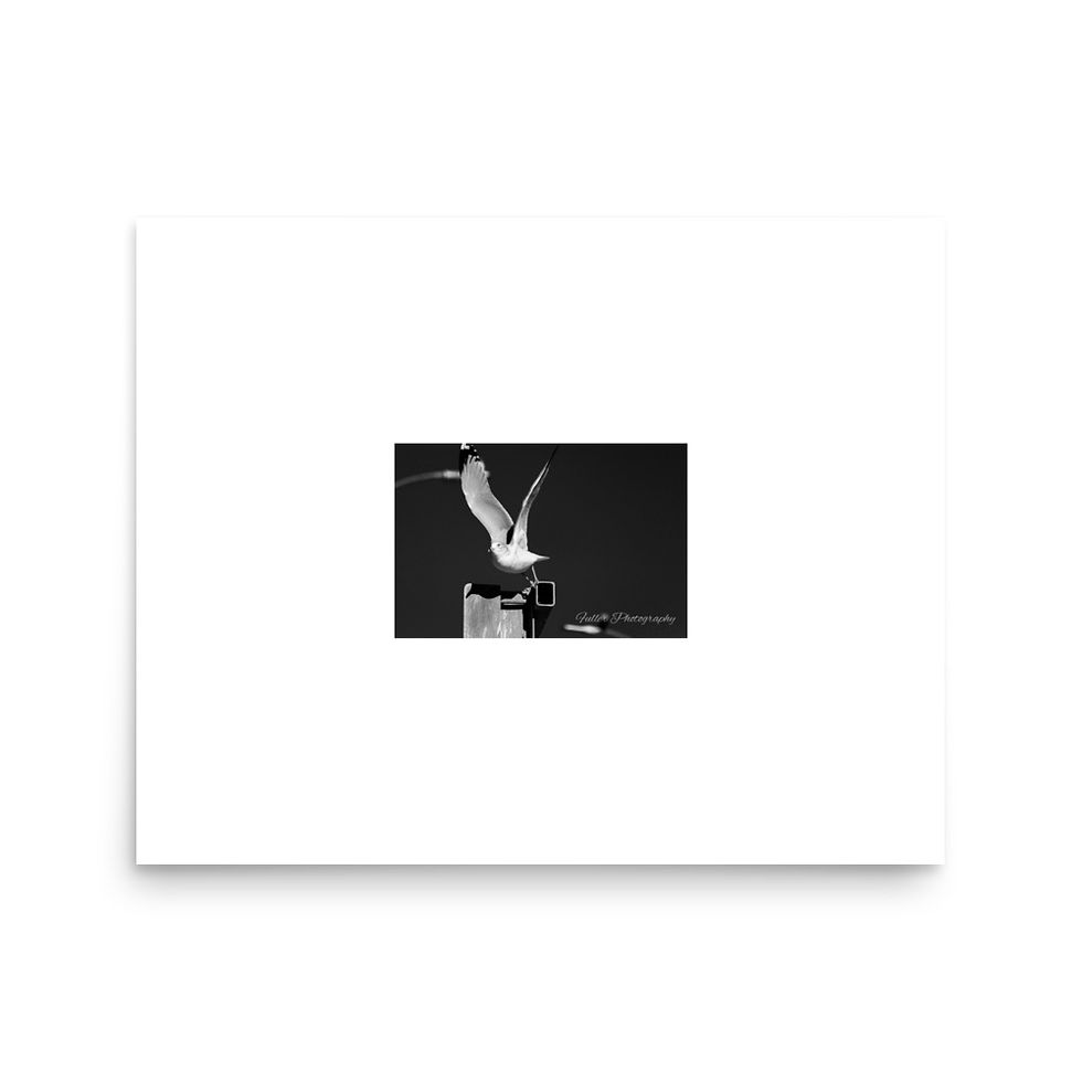 Thumbnail: Seagull On The Dock-Shenandoah Valley Print