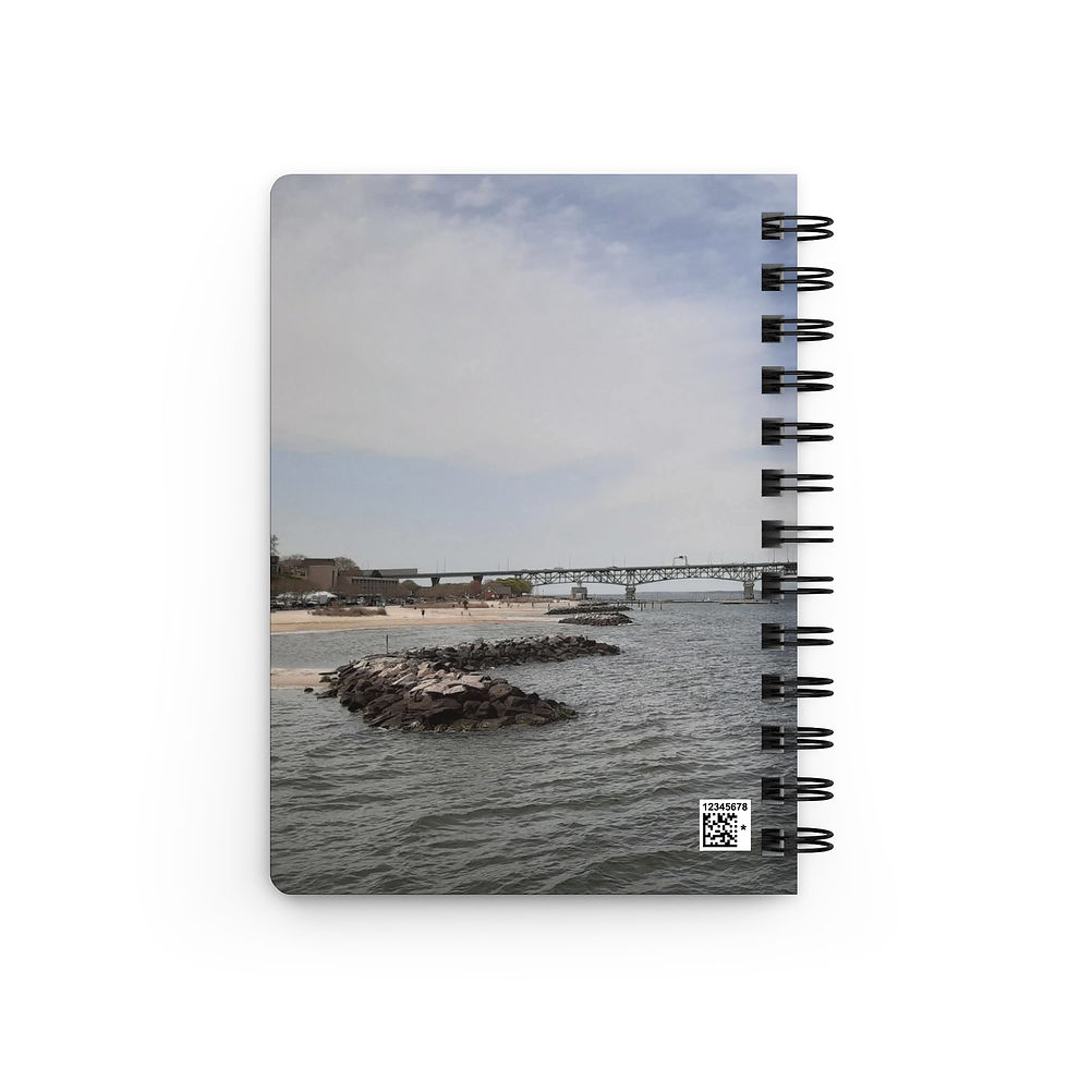 Thumbnail: Spiral bound journal