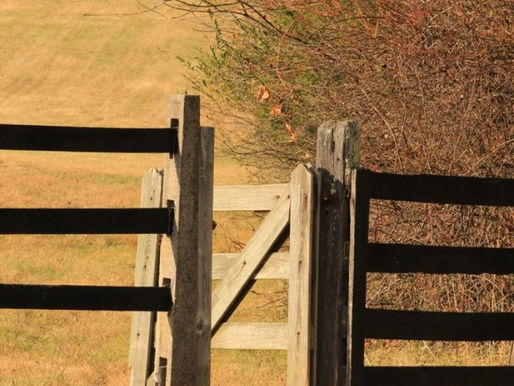 The Pursuit of Simplicity: Three Schools of Thought.