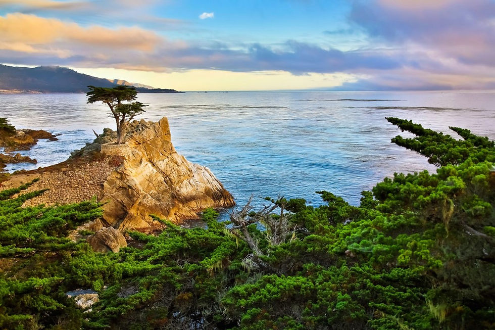 USA_Monterey2.jpg