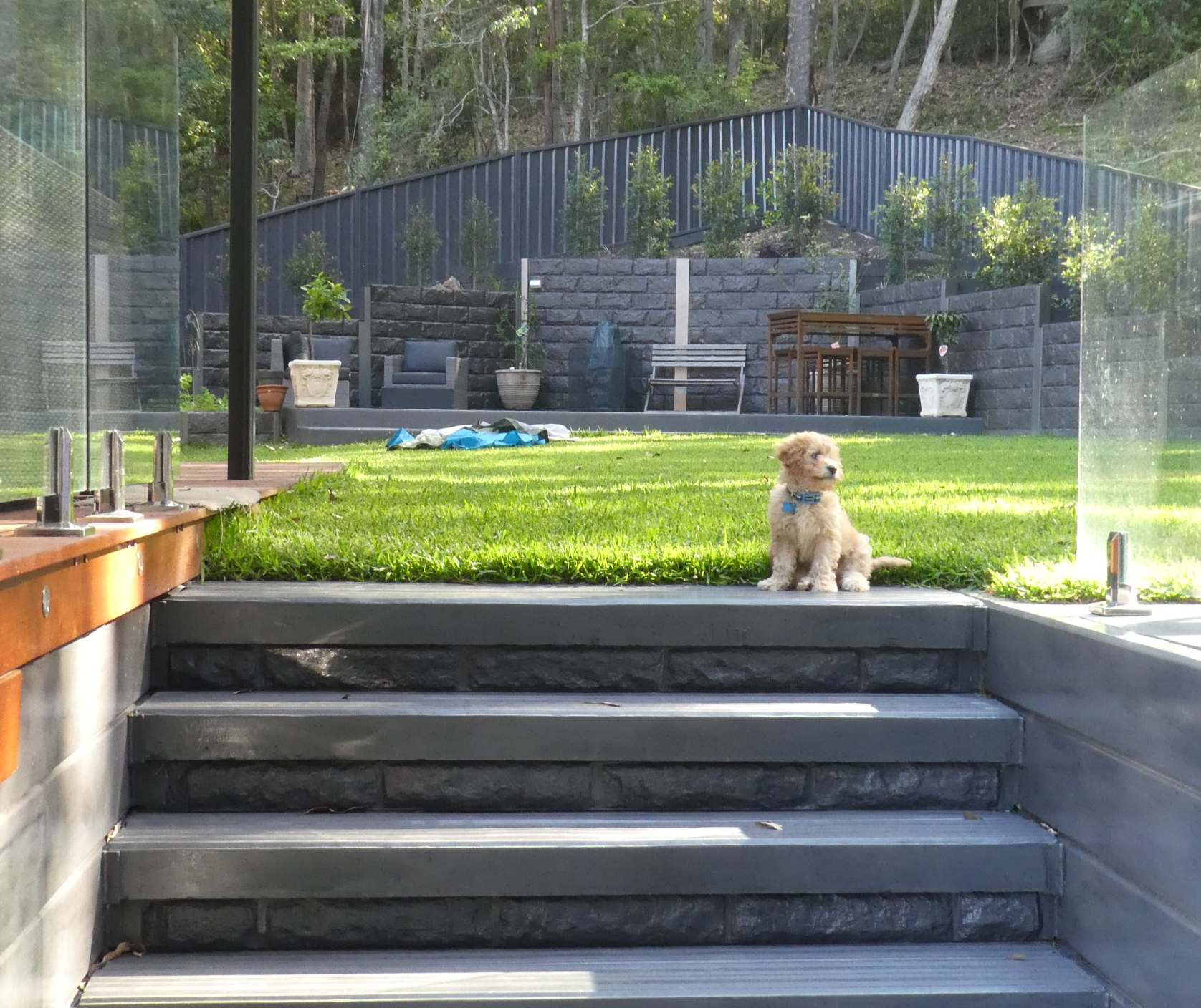 Writer: Nataleigh Henderson