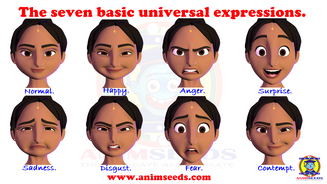 The seven basic universal expressions for animation.