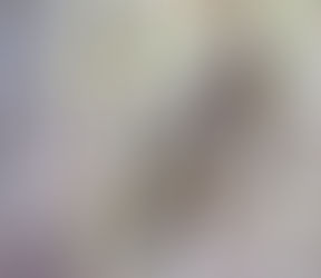 We have a Goshawk fledgling!
The fledgling, who we speculate is female due to her relatively large