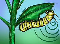 LSR Graphics_Leaves _Hear_ Catepillars_Gloria Yu _26.png