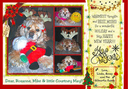 Christmas Card 2010.jpg